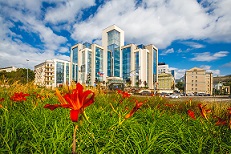 Иностранные_инвестиции_компании_лукойл